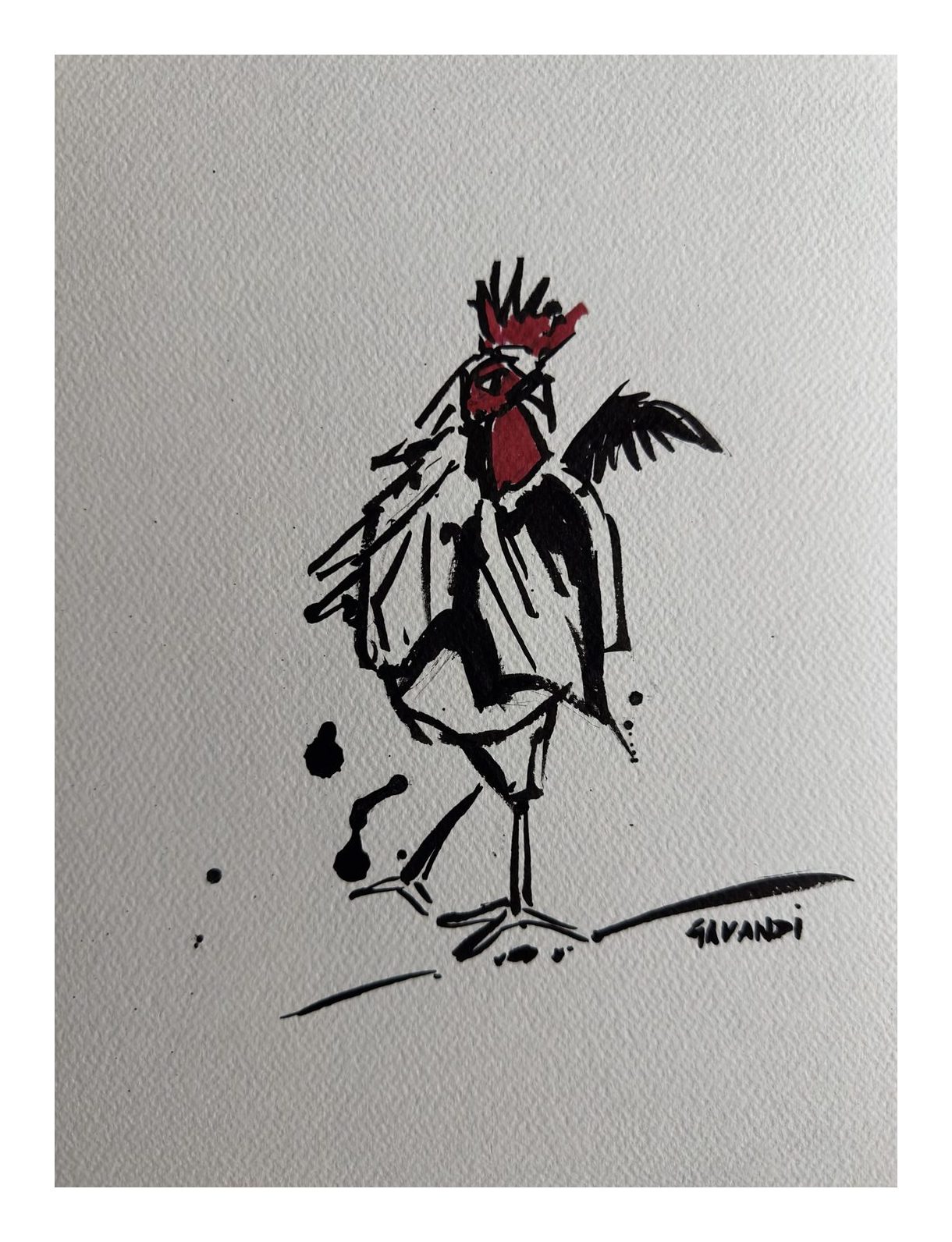 Brush-and-ink sketch of a rooster with a red comb, signed Gavandi