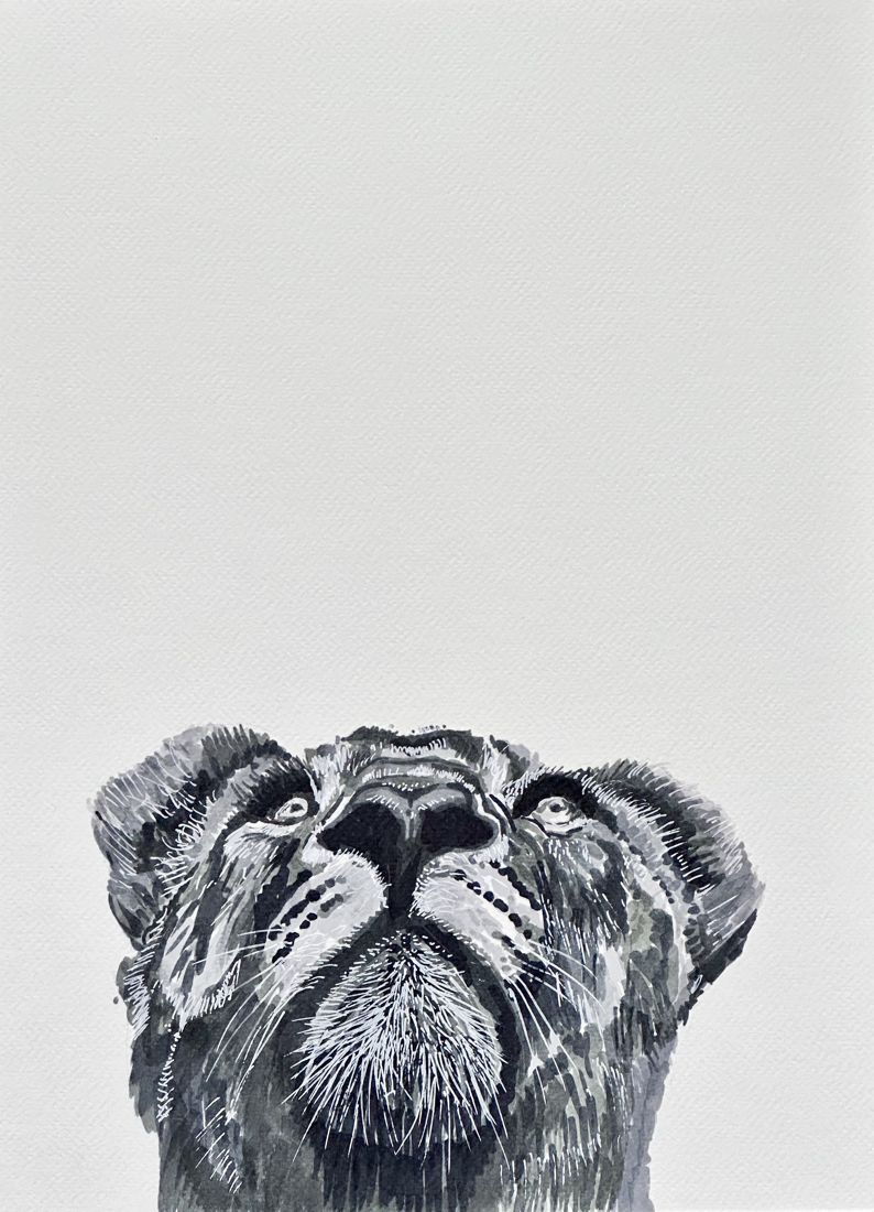 Alcohol-marker and white ink portrait of a big cat looking up, only the face at the bottom of the sheet